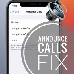 fix announce calls on iPhone