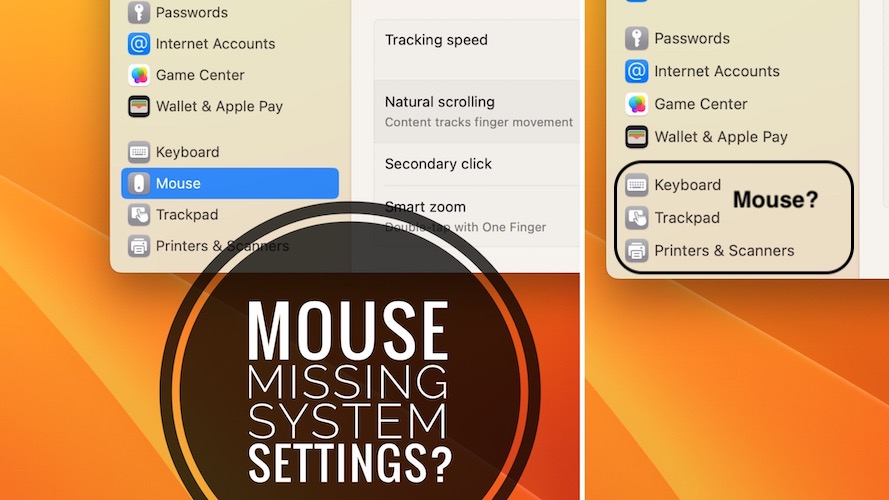 mouse not available in settings on mac