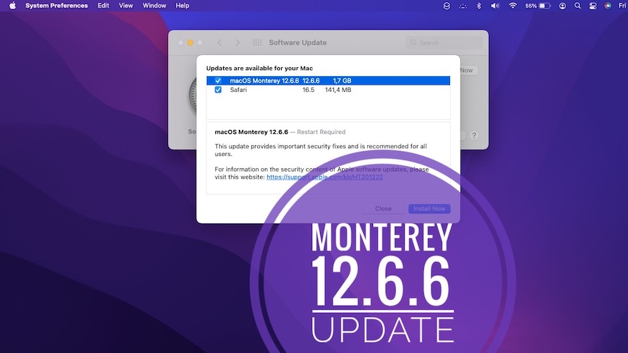macos monterey 12.6.6 update