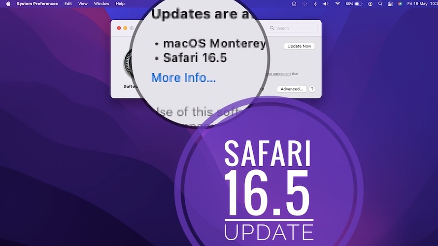 safari 16.5 update