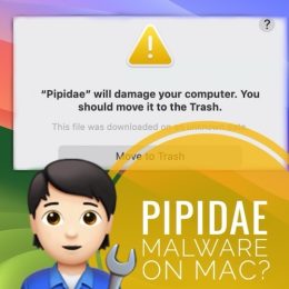 pipidae will damage your computer popup