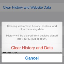 clear safari history and website data