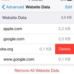 delete selected website data