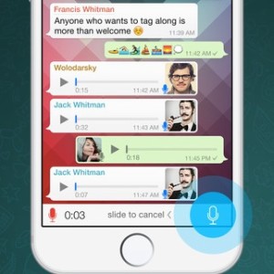 whatsapp voice call feature
