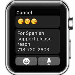 Apple Watch Default Message Replies