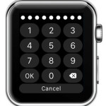 apple watch 10 digit passcode