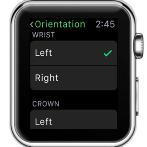 apple watch left wrist orientation setup