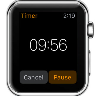 sporadisk arabisk ven Set and Track Apple Watch Timer
