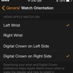 apple watch orientation settings
