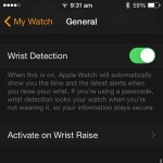 apple watch wrist detection setting
