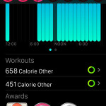 apple watch workout info in iphone activity app