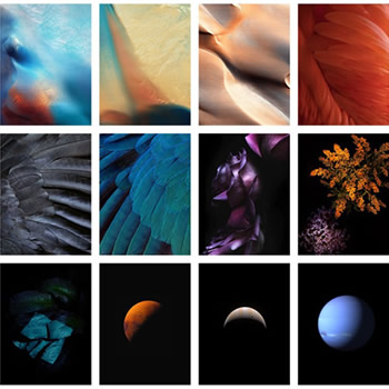Download All iOS 9 Public Beta 3 Static Wallpapers