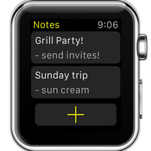 notes for watch home screen view