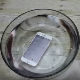 iphone 6S submerged in a water bowl