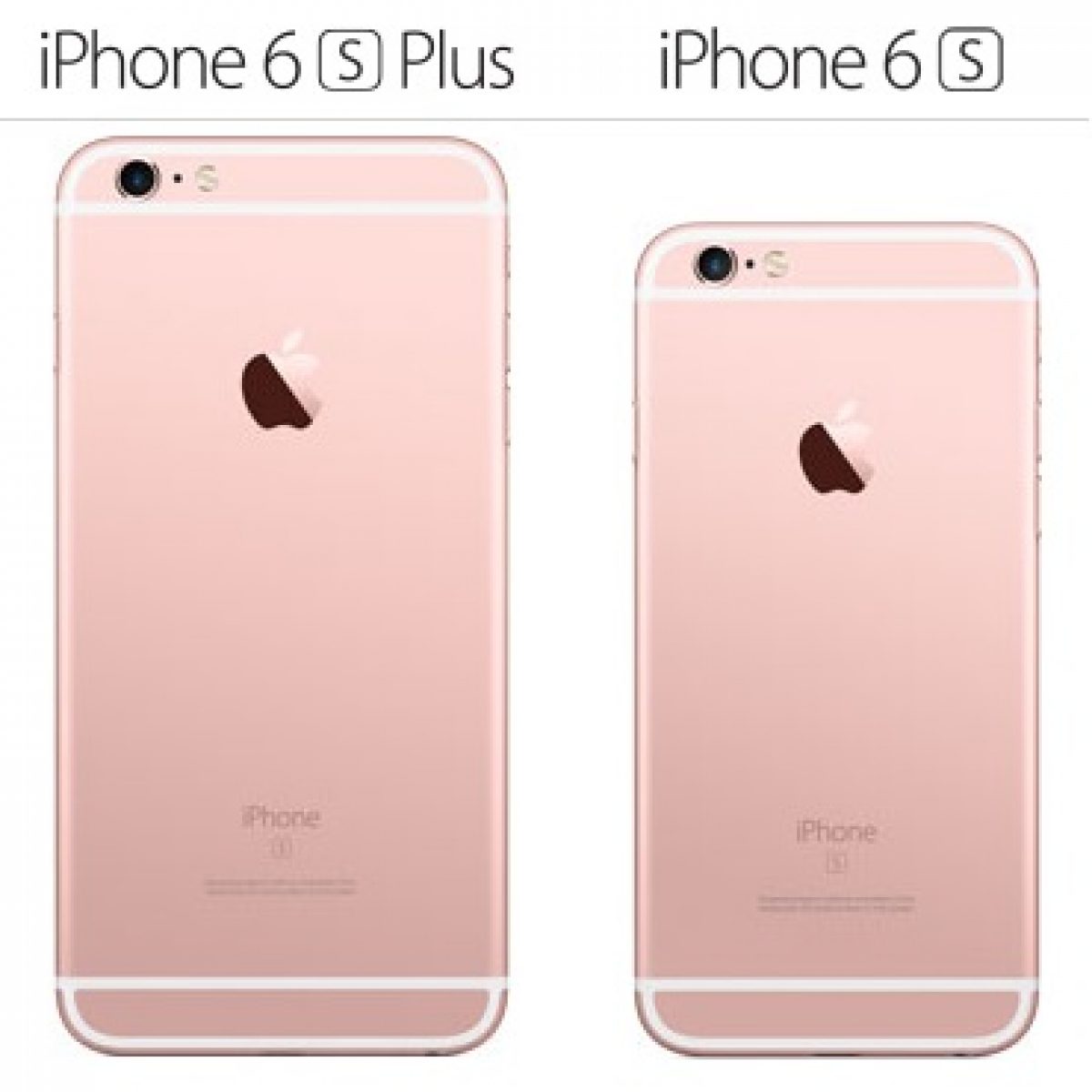 iPhone 6S iPhone 6S Plus? Pros and Cons!