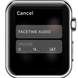 watchos 2 facetime audio call option