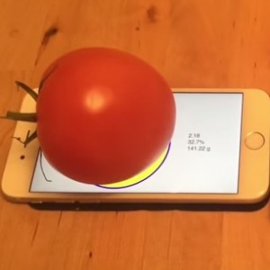weighing tomato on iphone 6s