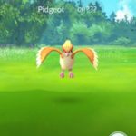 hunting pokemon with AR mode disabled