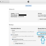 iTunes backup now button
