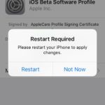ios 10 beta profile restar required prompt