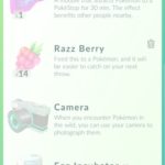 razz berry listed in pokemon go items