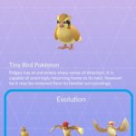 tiny bird pokemon evolution scale