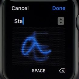 Apple Watch Scribble Feature