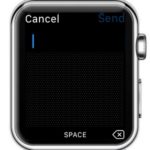 Apple Watch Scribble Screen