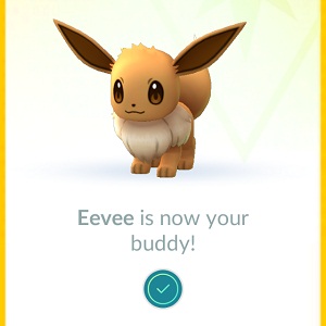 Eevee set as Pokemon Buddy.