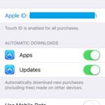 downloads automáticos App store setting
