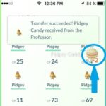 Halloween Pokemon Transfer reward