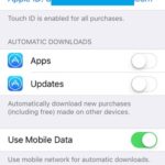 itunes and app store use mobile data setting