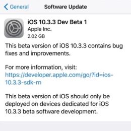 ios 10.3.3 dev beta 1 software update