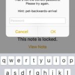 notes password hint displayed on iphone