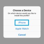 choose device to install iOS 11 Beta Profile on