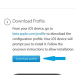 download ios 11 beta profile