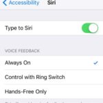 how to enable type to siri