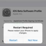 ios 11 beta software profile installed restart required