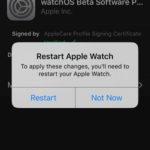 restart apple watch prompt