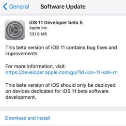 ios 11 developer beta 5 software update screen