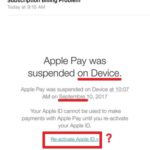 apple pay phishing email example