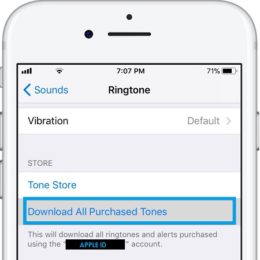 download all purchased tones ios 11 option