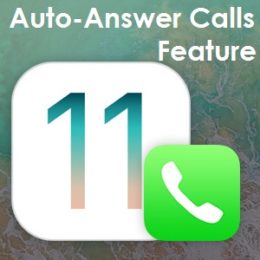 ios 11 auto-answer calls option for iphone