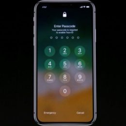 iphone x requires passcode to enable face id