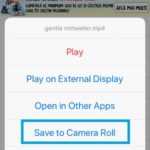 save facebook video to camera roll