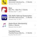 active app store subscriptions