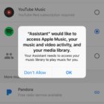 enabling google assistant apple music support in ios settings