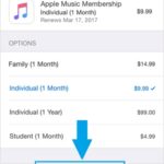 how to cancel apple music subscription