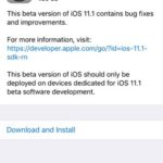 ios 11 developer beta 4 software update