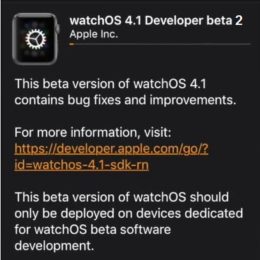 watchos 4.1 developer beta 2